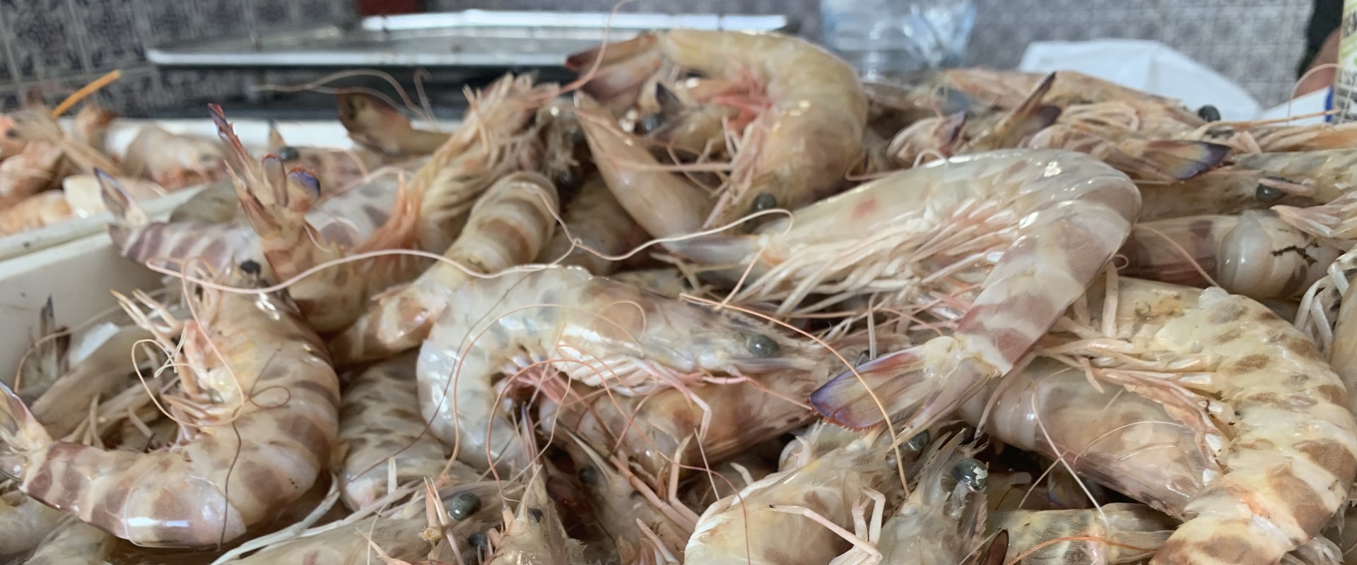 Découvrez la délicieuse expérience culinaire des crevettes fan de Kamounia