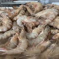 Découvrez la délicieuse expérience culinaire des crevettes fan de Kamounia