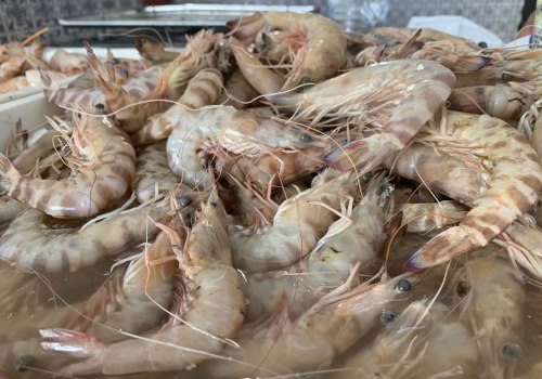 Découvrez la délicieuse expérience culinaire des crevettes fan de Kamounia